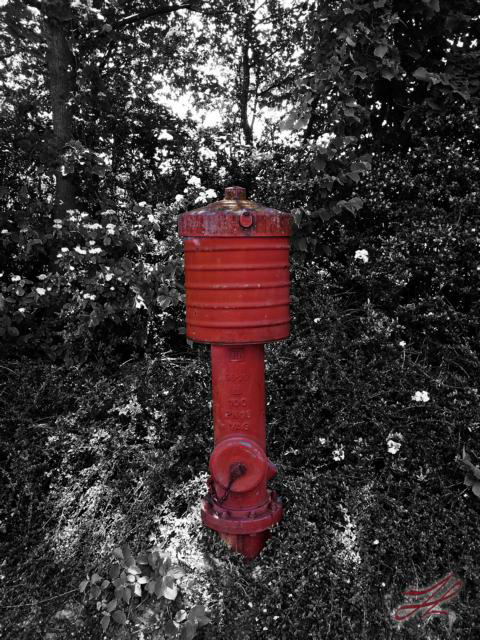 Hydrant Signatur 2012-05-25 13.09
